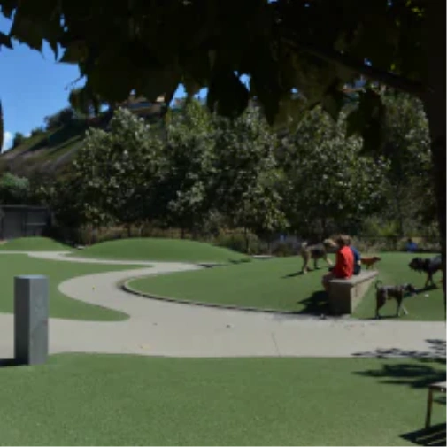 What to Consider Before You Spec a Dog Park Surface in Greenwich