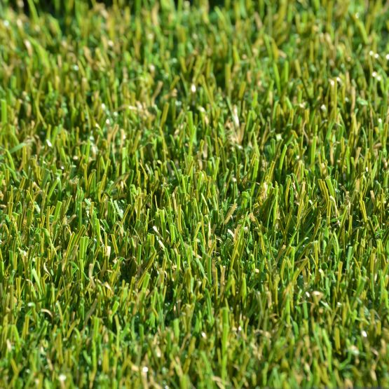 GB156_Spring&#32;Green
