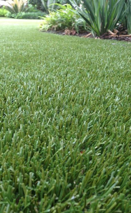 Greenwich artificial grass