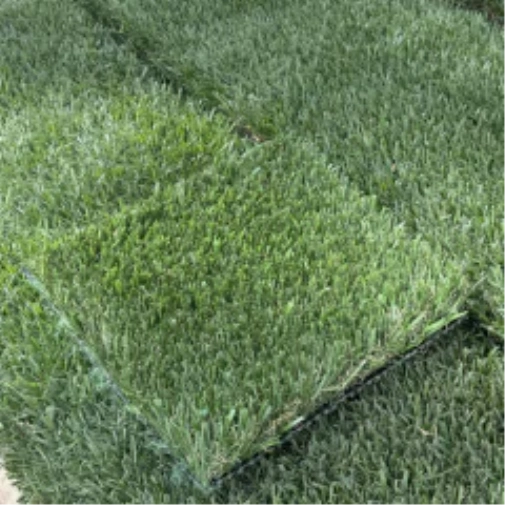 Introducing Wide Blade Turf in Greenwich