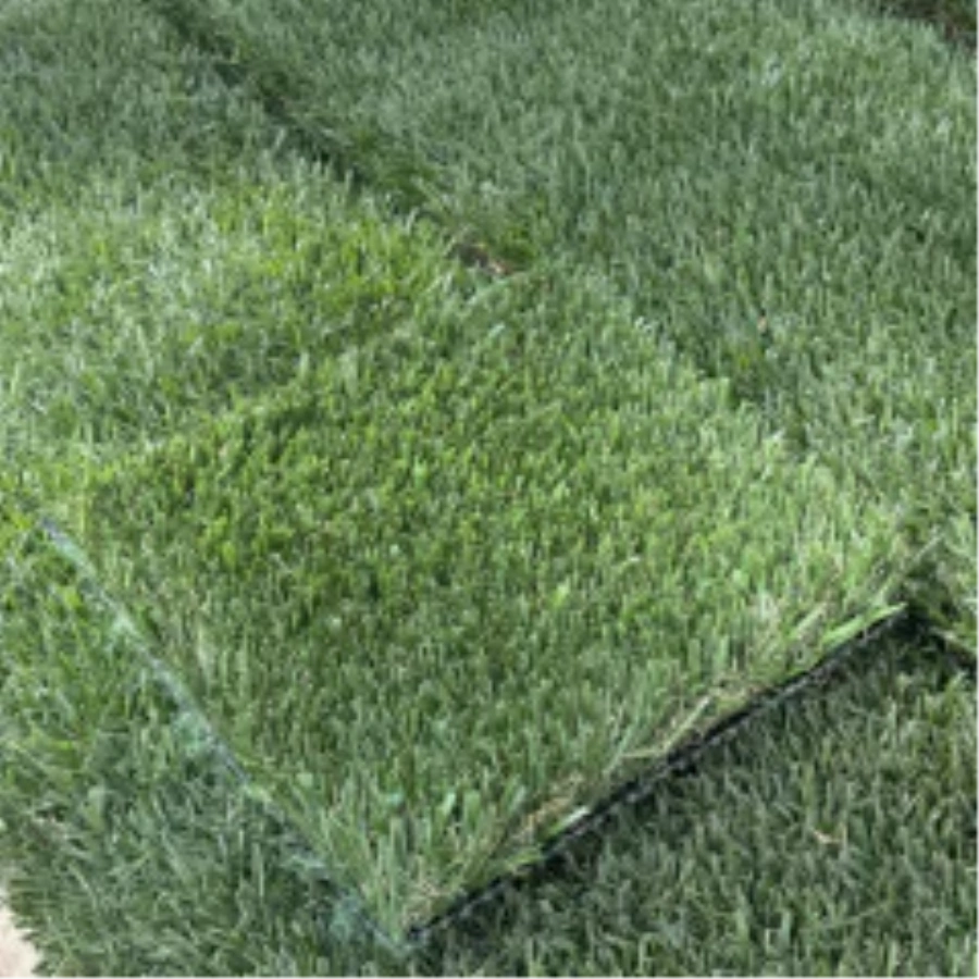 Introducing Wide Blade Turf in Greenwich