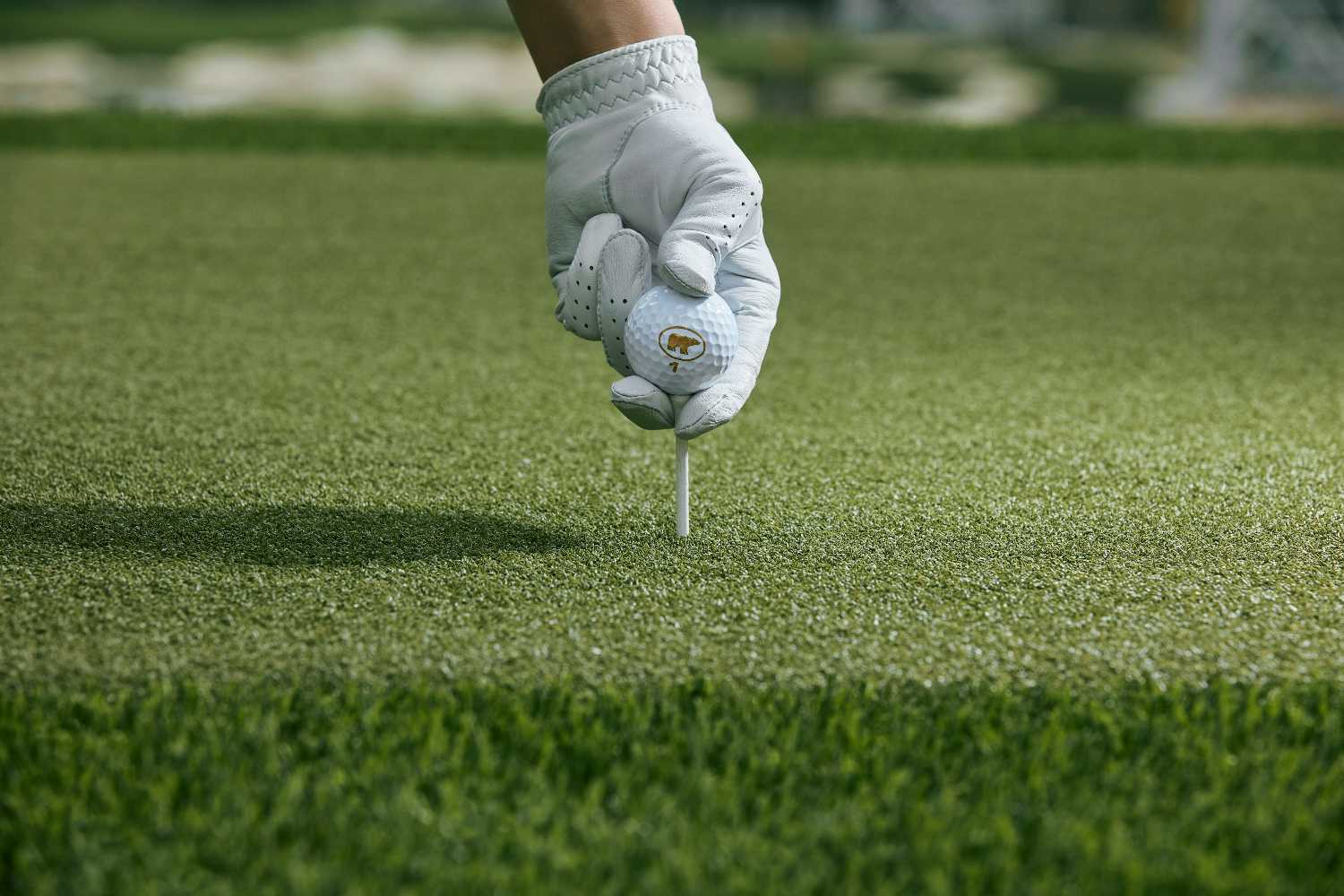 Greenwich driving range