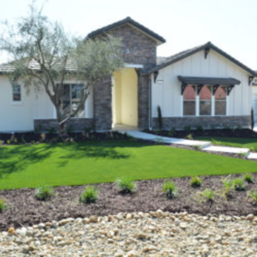 Artificial Lawn Maintenance Tips in Greenwich