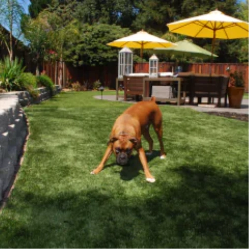 Ways fake grass for dogs Upgrades Your Greenwich Outdoor Space